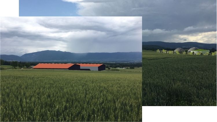integration paysage Intégration au paysage du méthaniseur Green Gas Viry (74580)